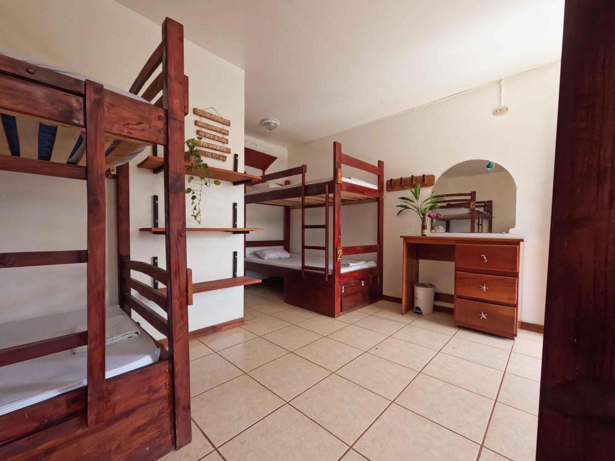Single Bed in 6-Bed Dormitory Room