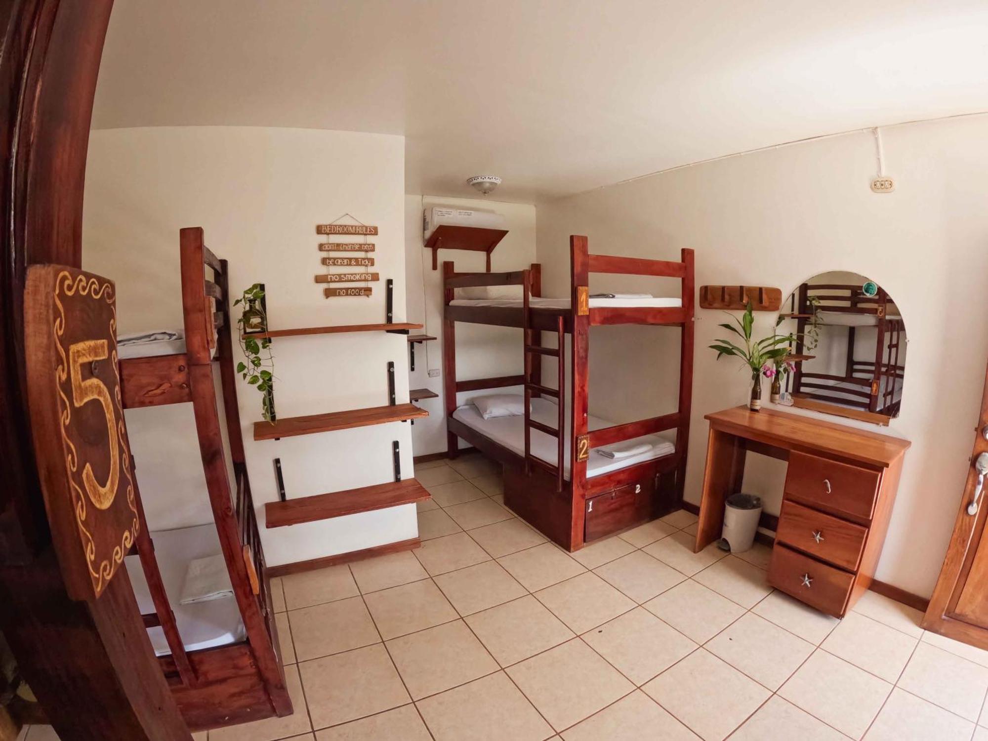 Single Bed in Female Dormitory Room